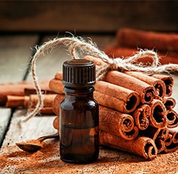 Cinnamon Bark Extract