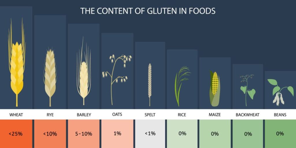 Gluten