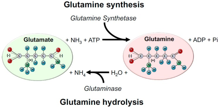 nutrients-